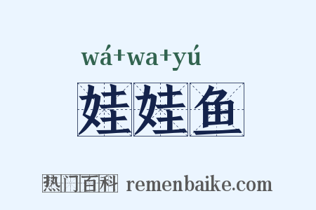 娃娃鱼是什么意思的图片